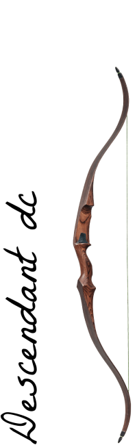 damon-howatt-descendant-dc-bow-dream-catcher-recurve-bow-elite